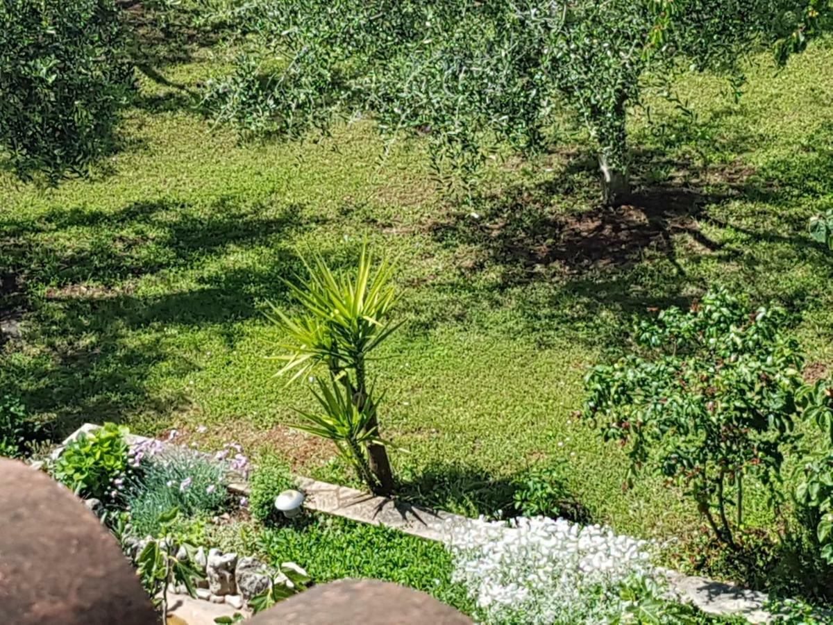 Siesta Porec