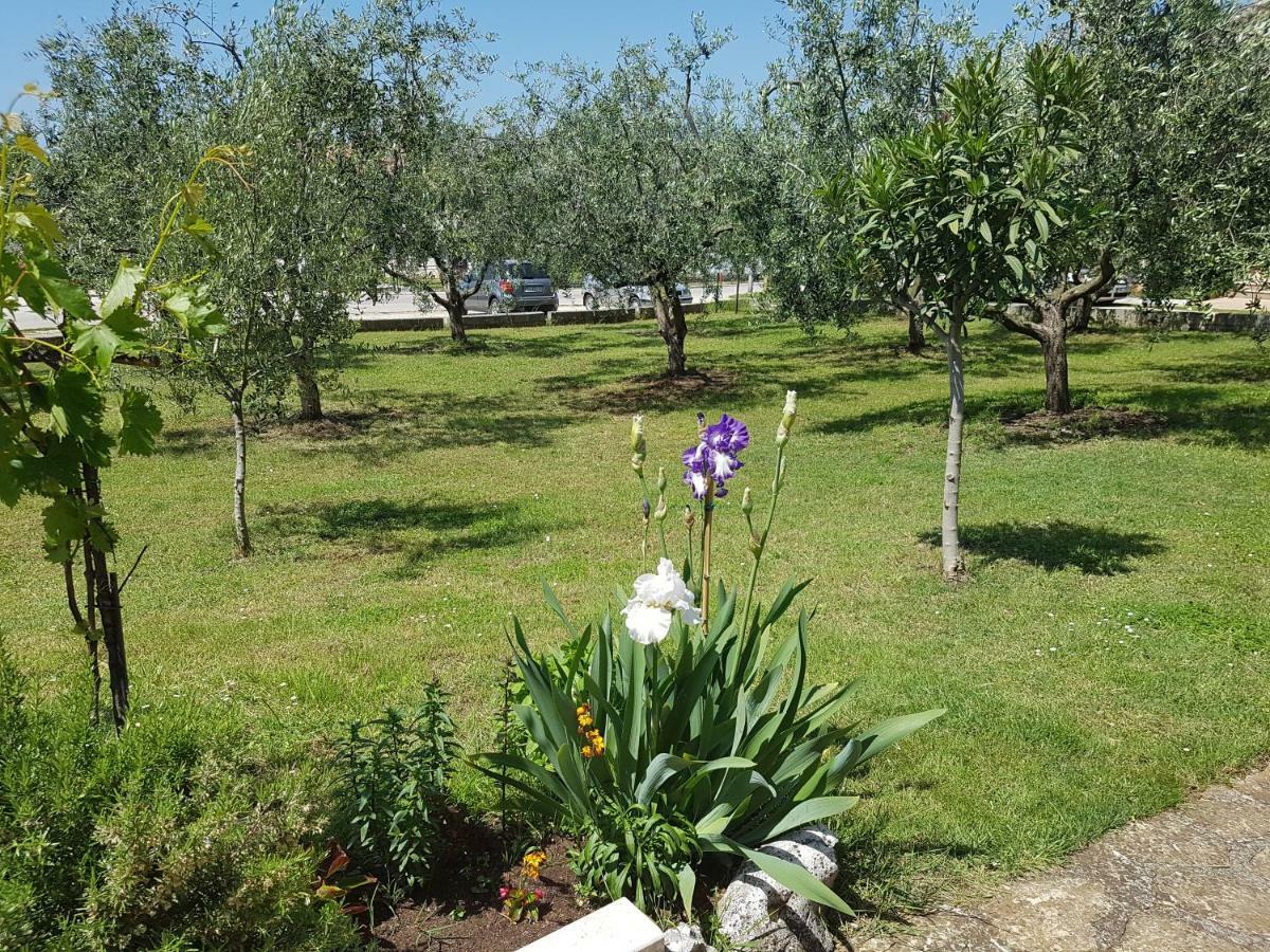 Siesta Gostinjska kuća